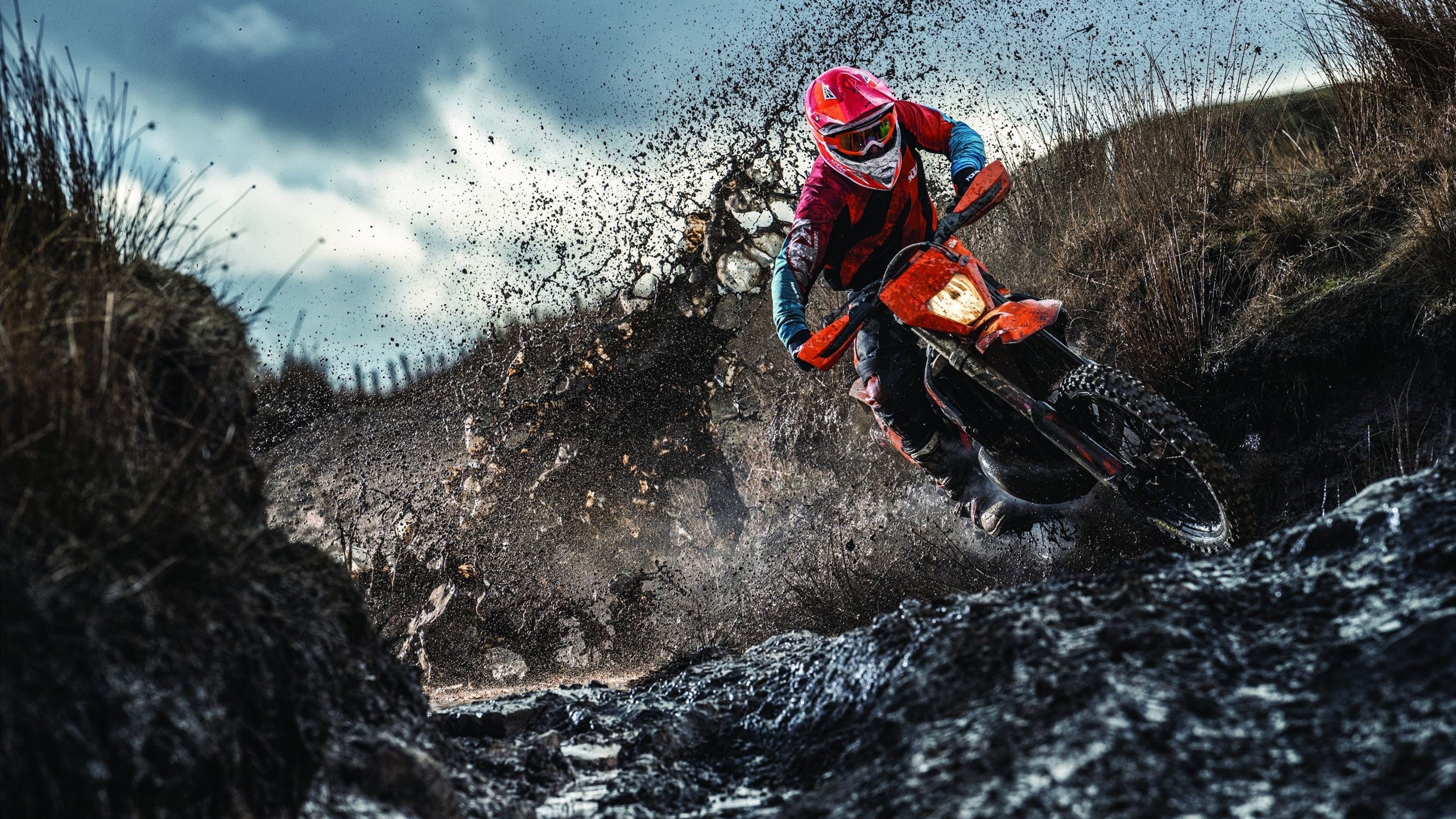 _骑士年轻核心持续发光,未来无限希望_,新版骑士