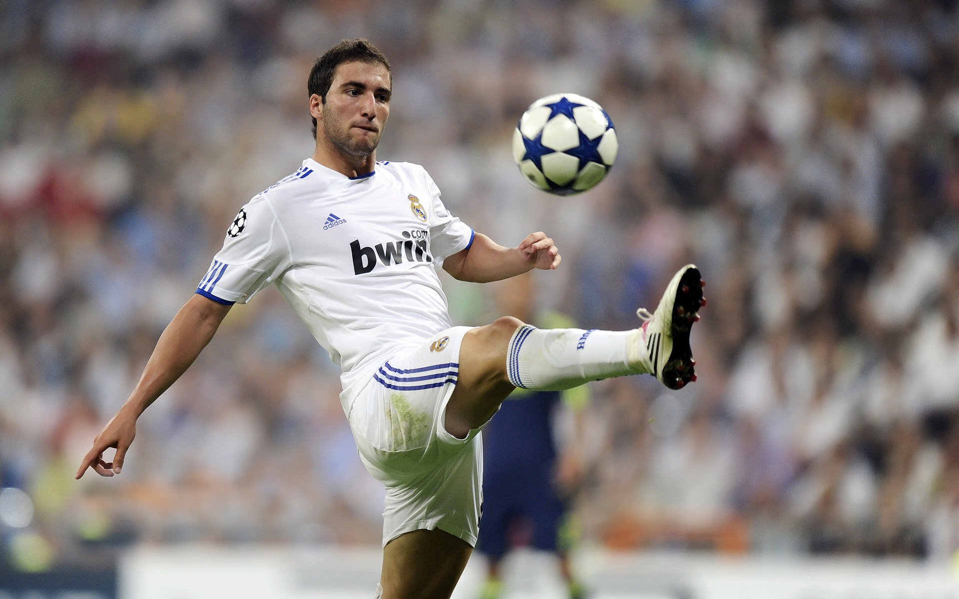 开云体育移动版-未来十年：赛车行业的变革与创新，赛车产业